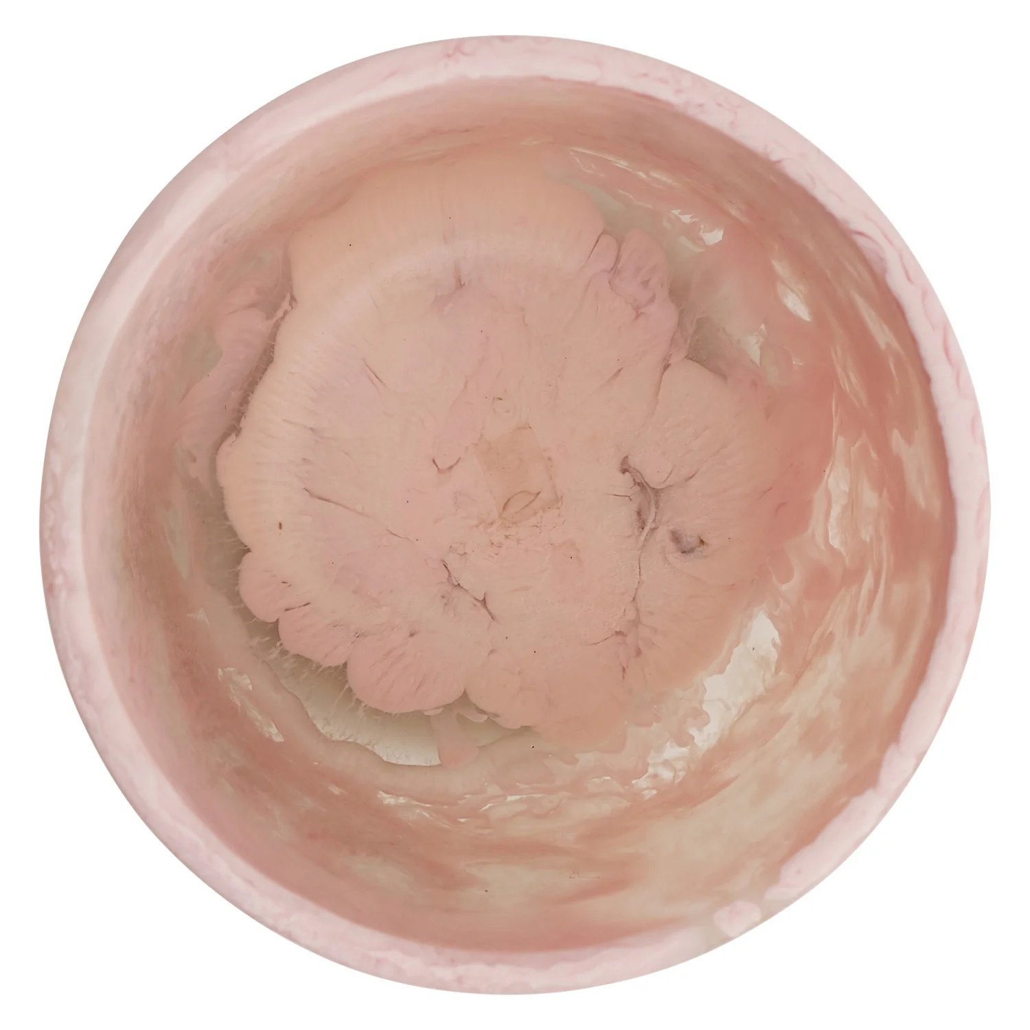 Amisha Vase - Posy - Image 4