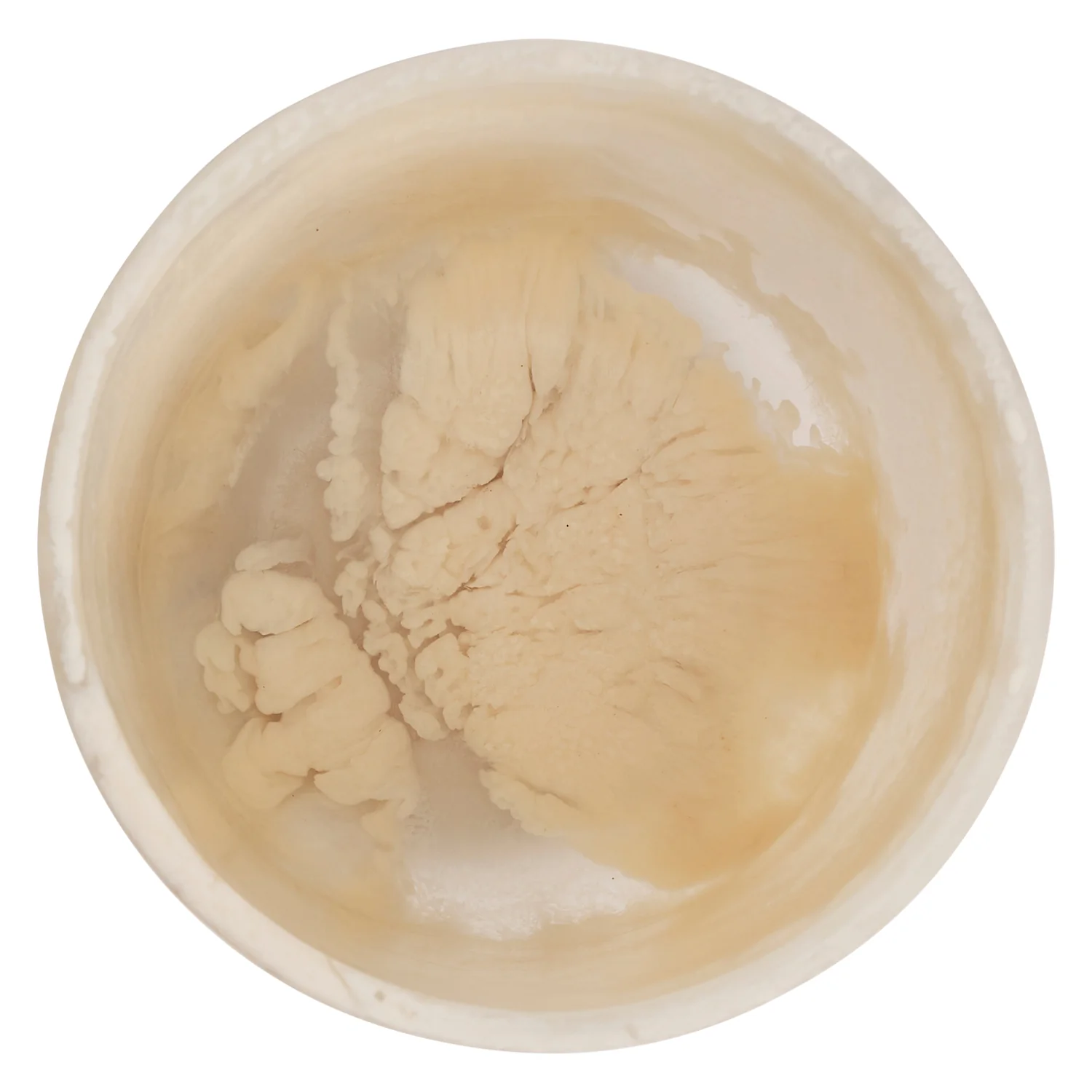 Amisha Vase - Vanilla - Image 3