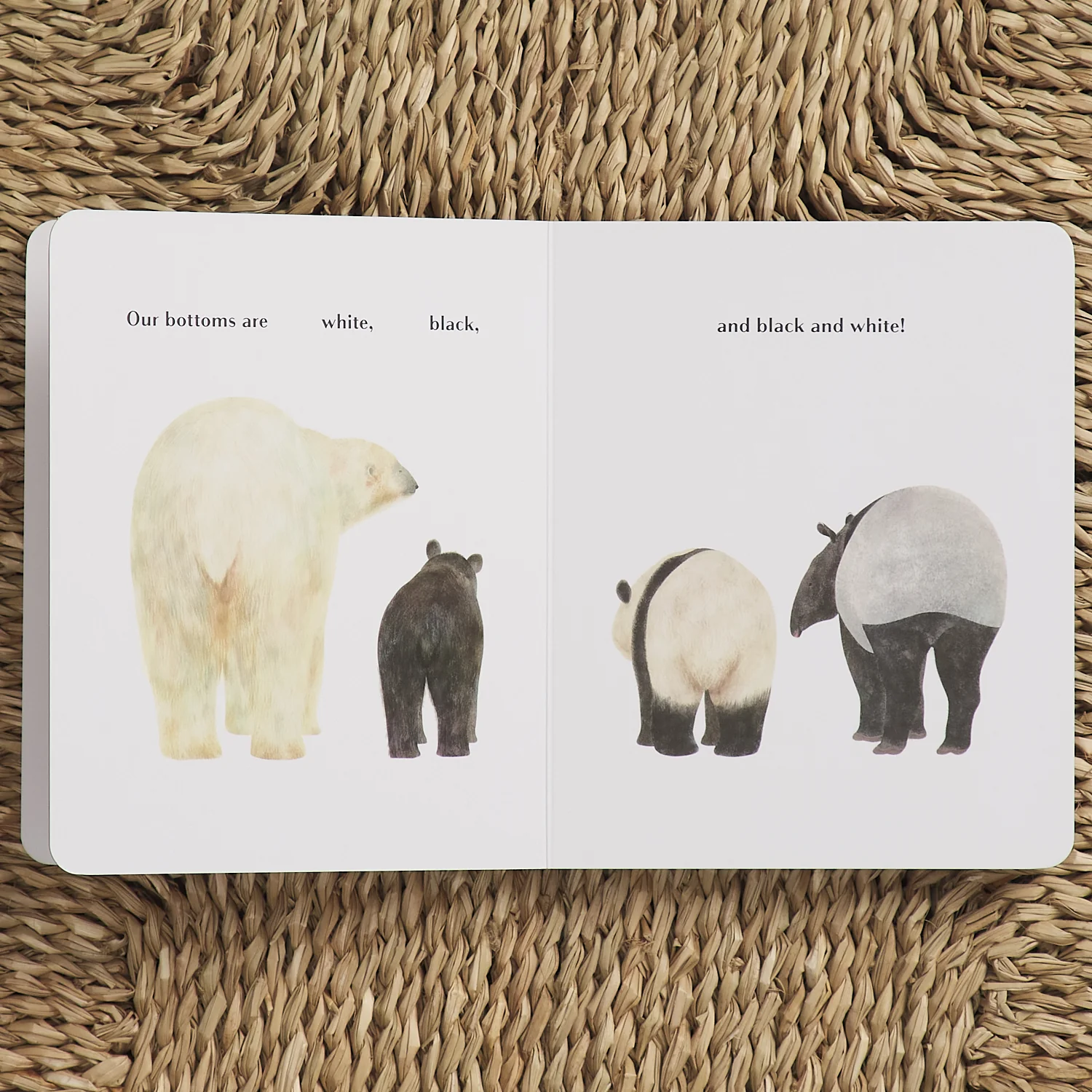 Animals Brag About Their Bottoms - Image 3