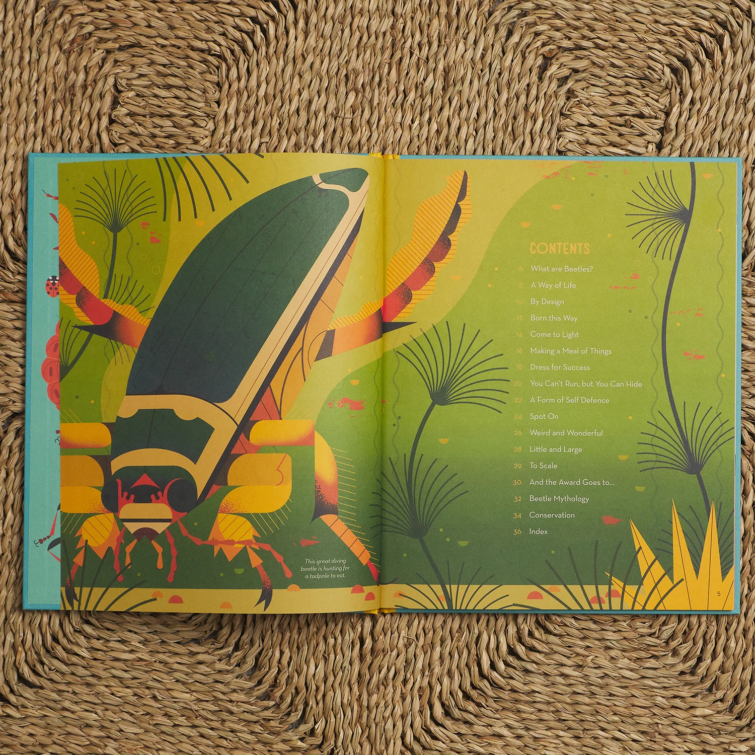 Bonkers About Beetles - Image 3