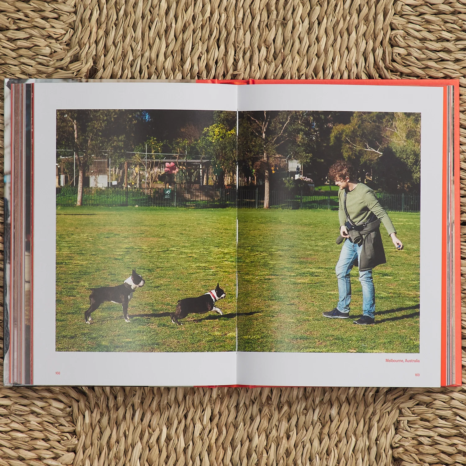Dog's Best Friend - Image 5
