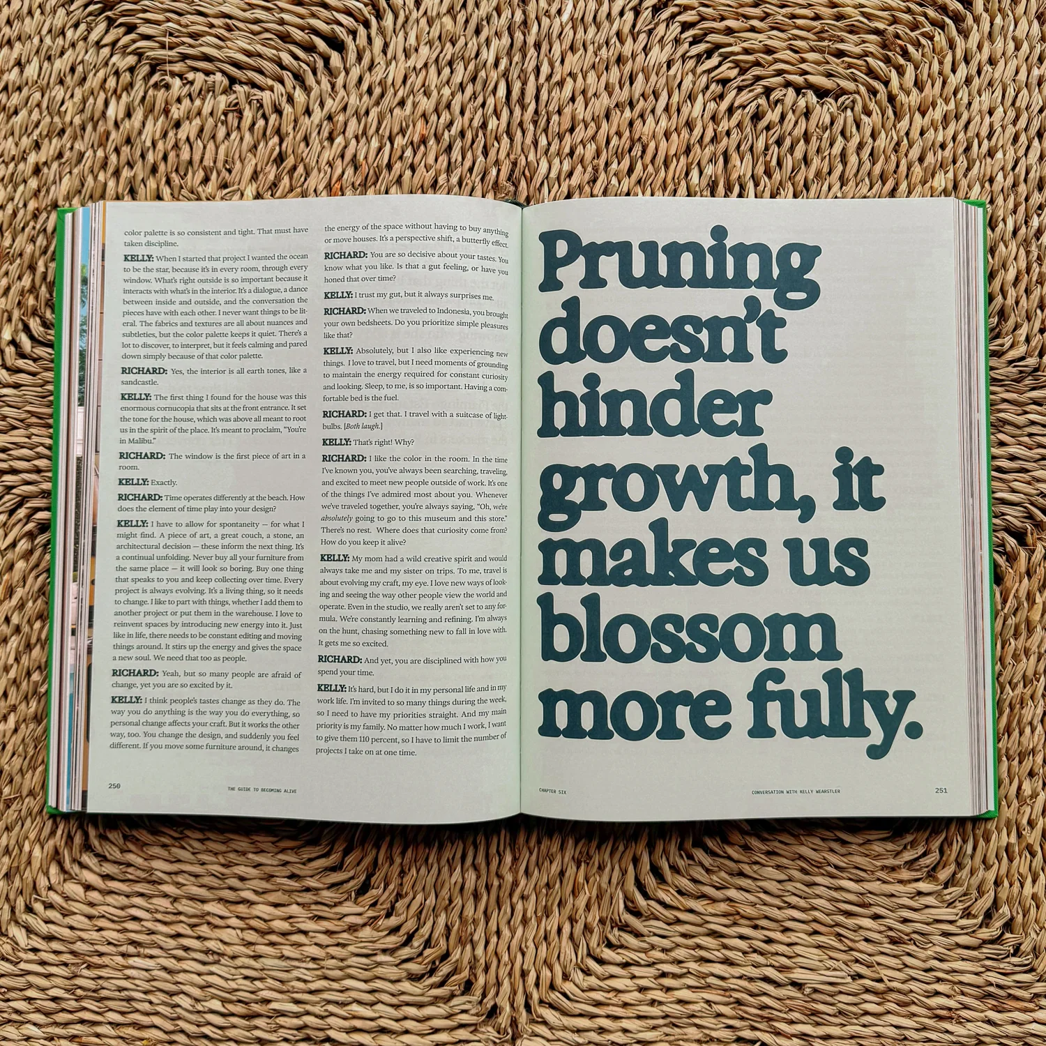 Flamingo Estate :The Guide to Becoming Alive - Image 3