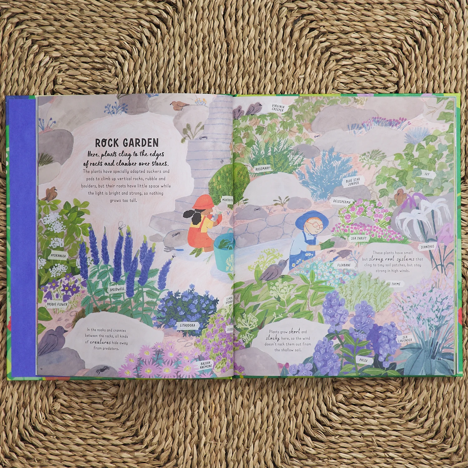 How to Grow a Garden - Image 2