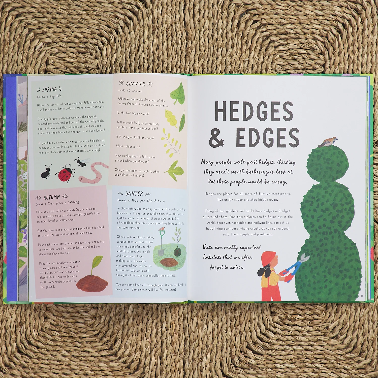 How to Grow a Garden - Image 3