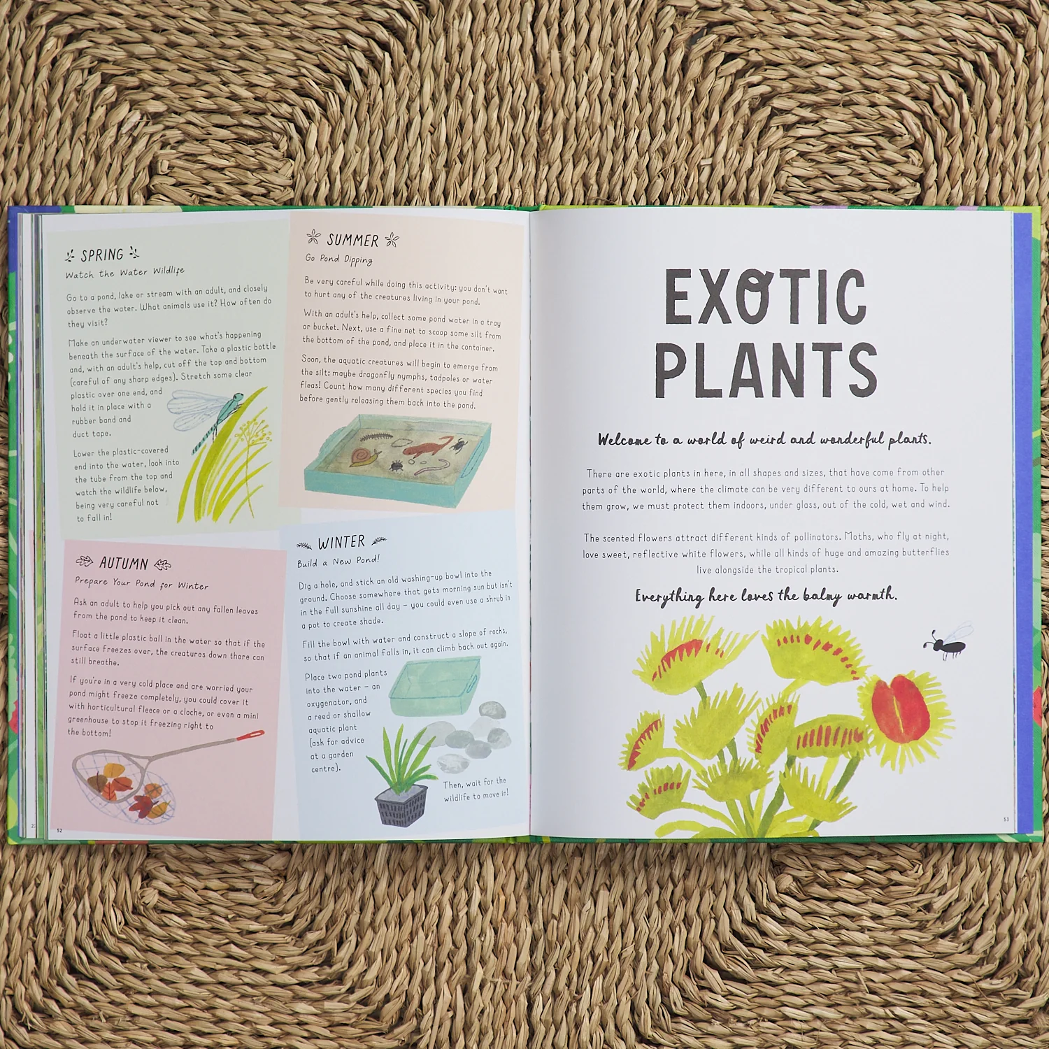 How to Grow a Garden - Image 5