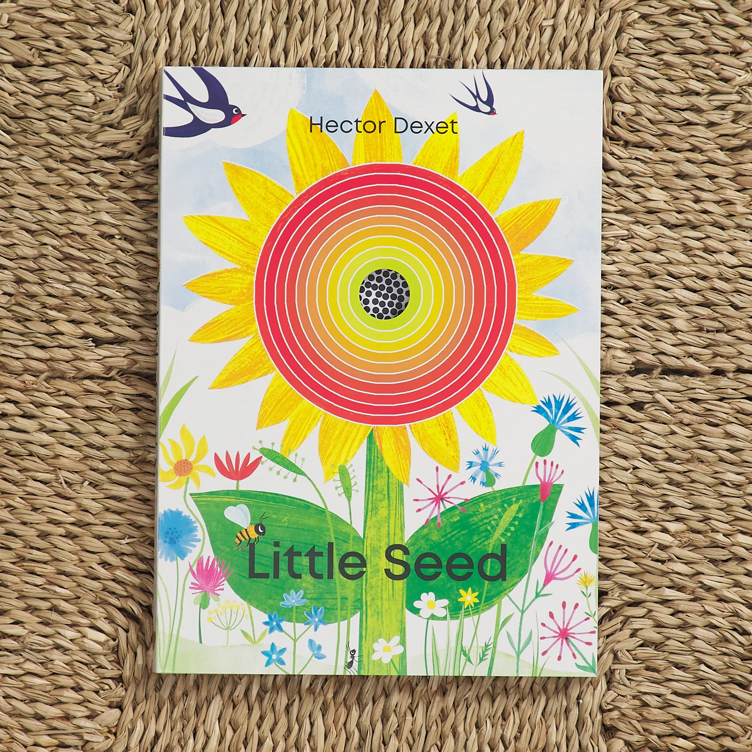 Little Seed
