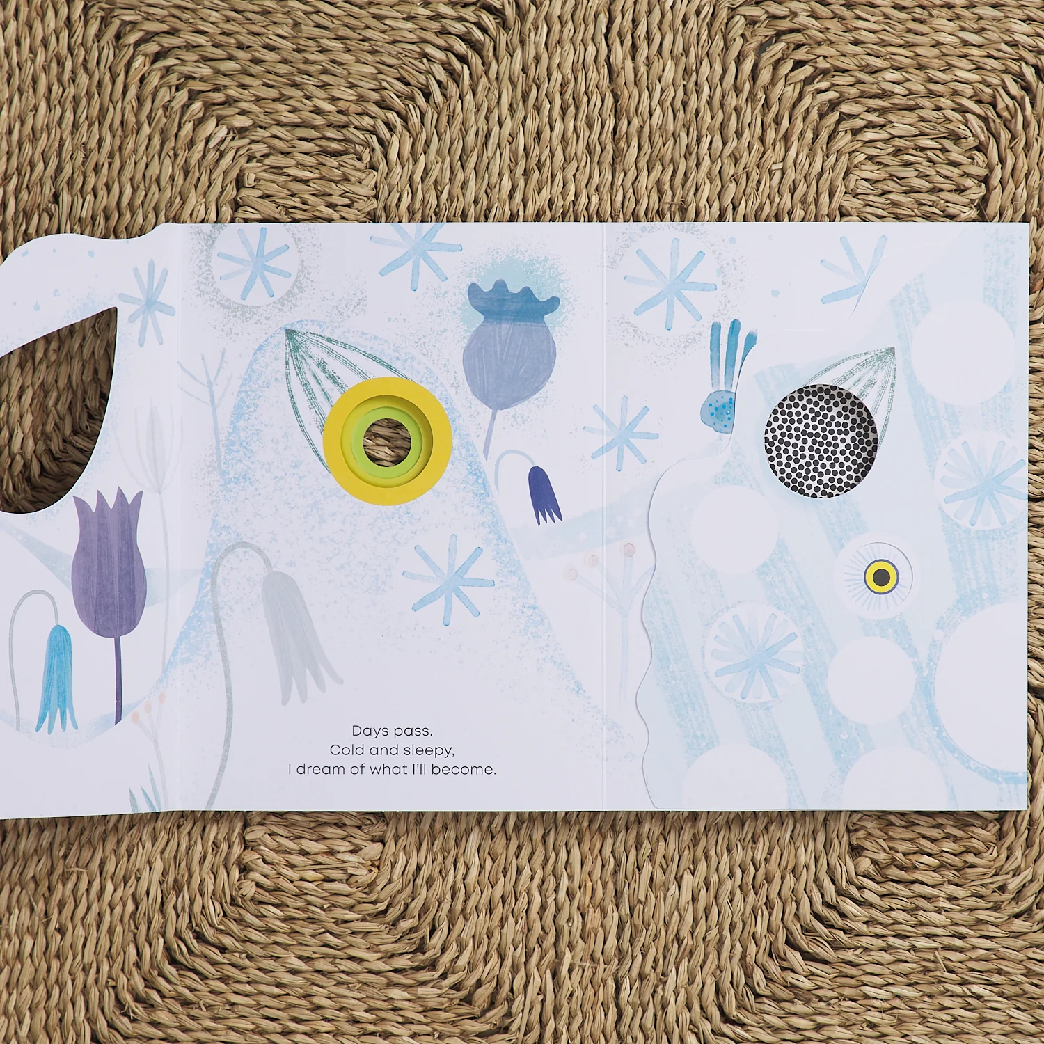 Little Seed - Image 3