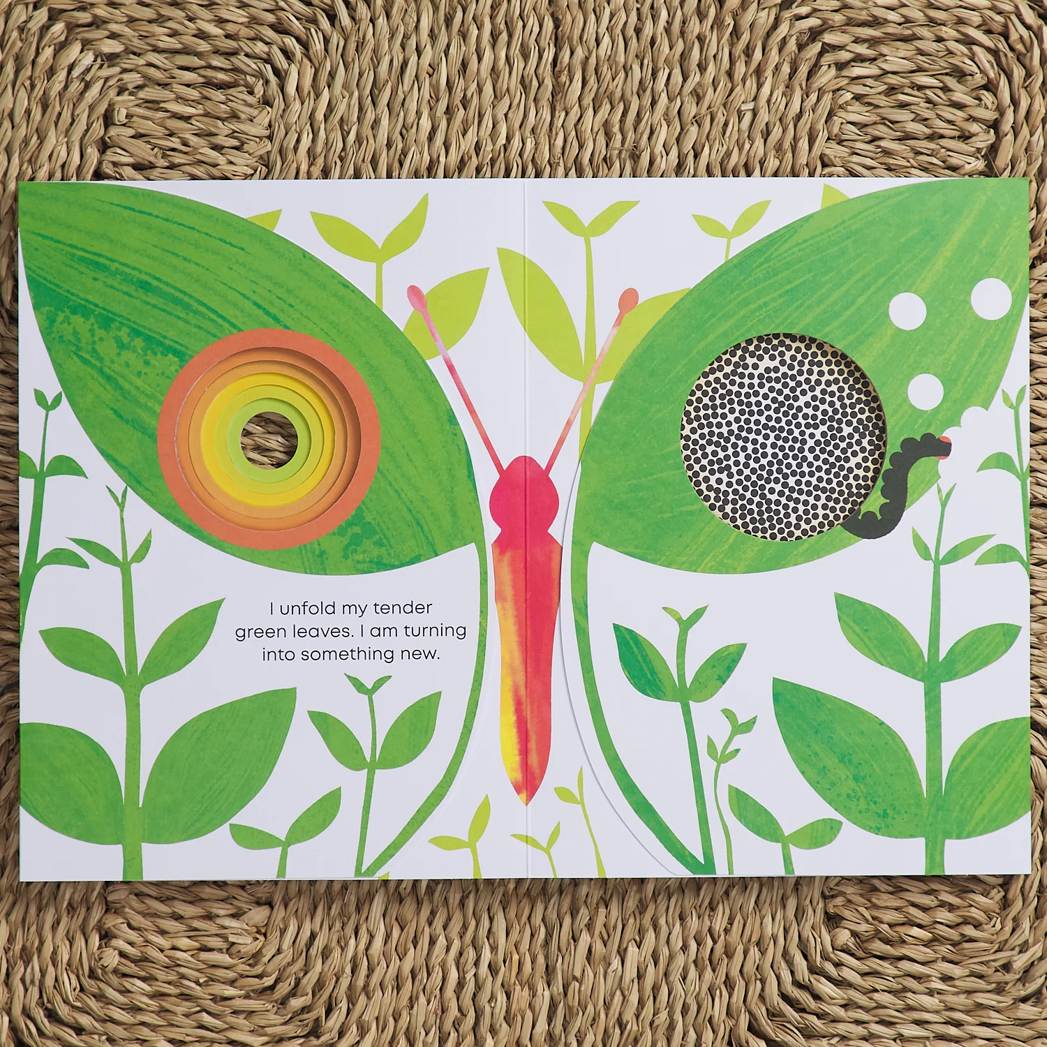 Little Seed - Image 4