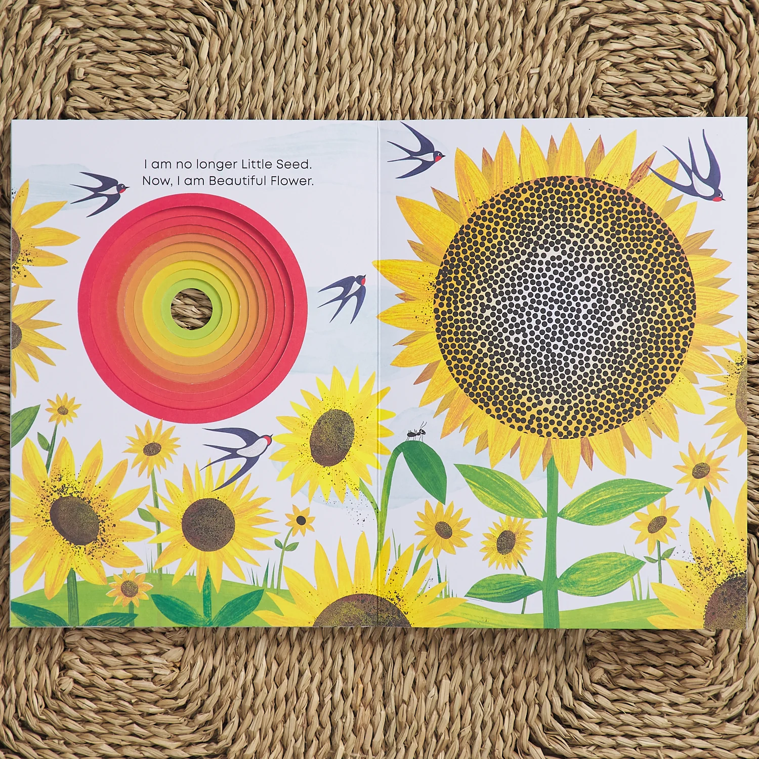 Little Seed - Image 5