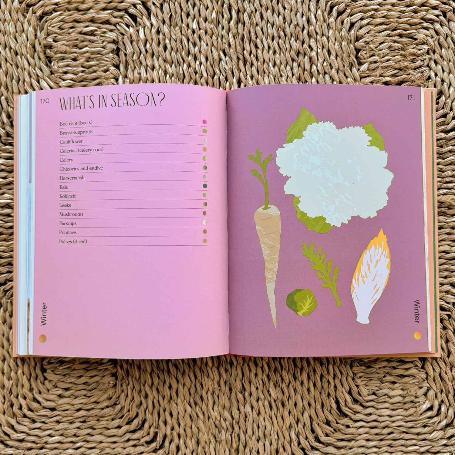 The Magnificent Book of Vegetables - Image 4