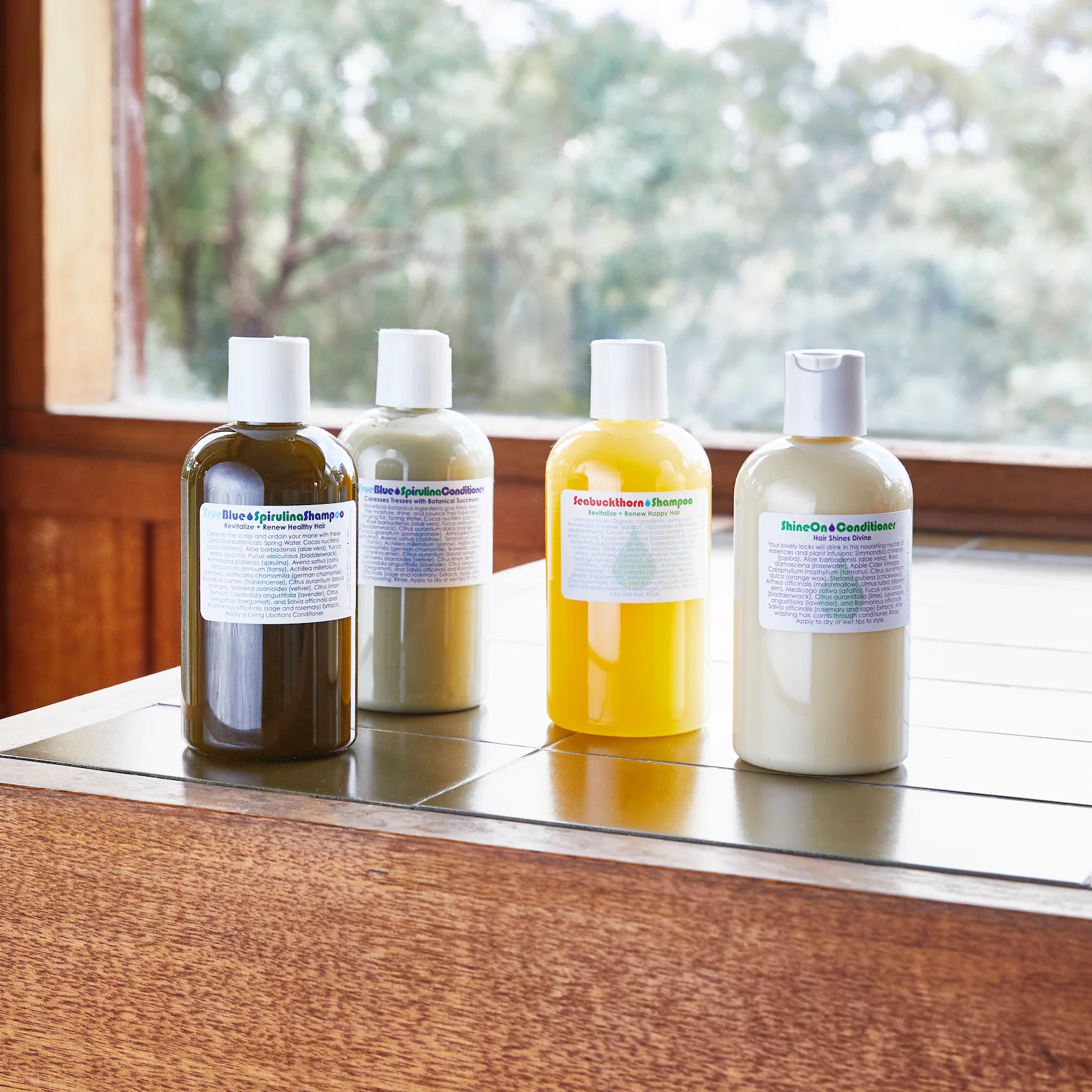 Seabuckthorn Shampoo - Image 2