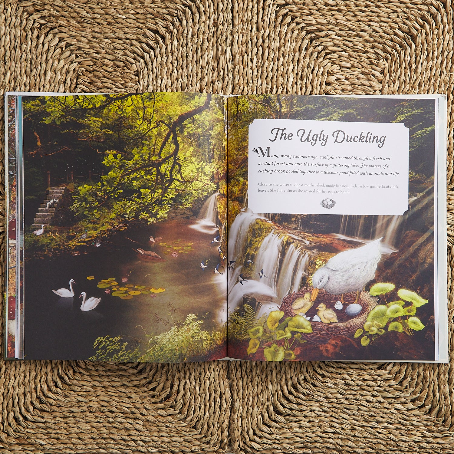 Step Inside a Fairytale - Image 5