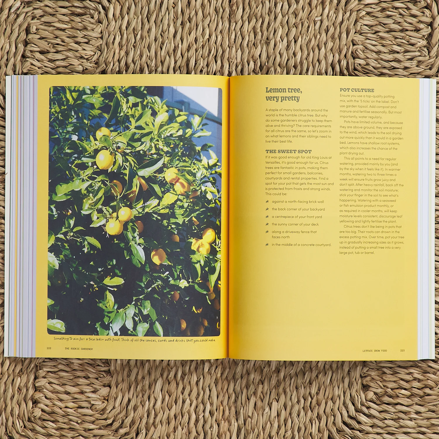 The Rookie Gardener - Image 4