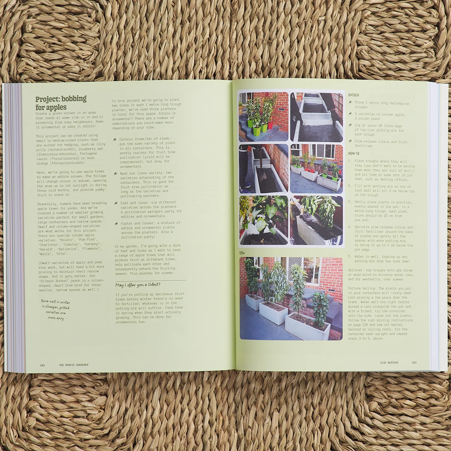 The Rookie Gardener - Image 5