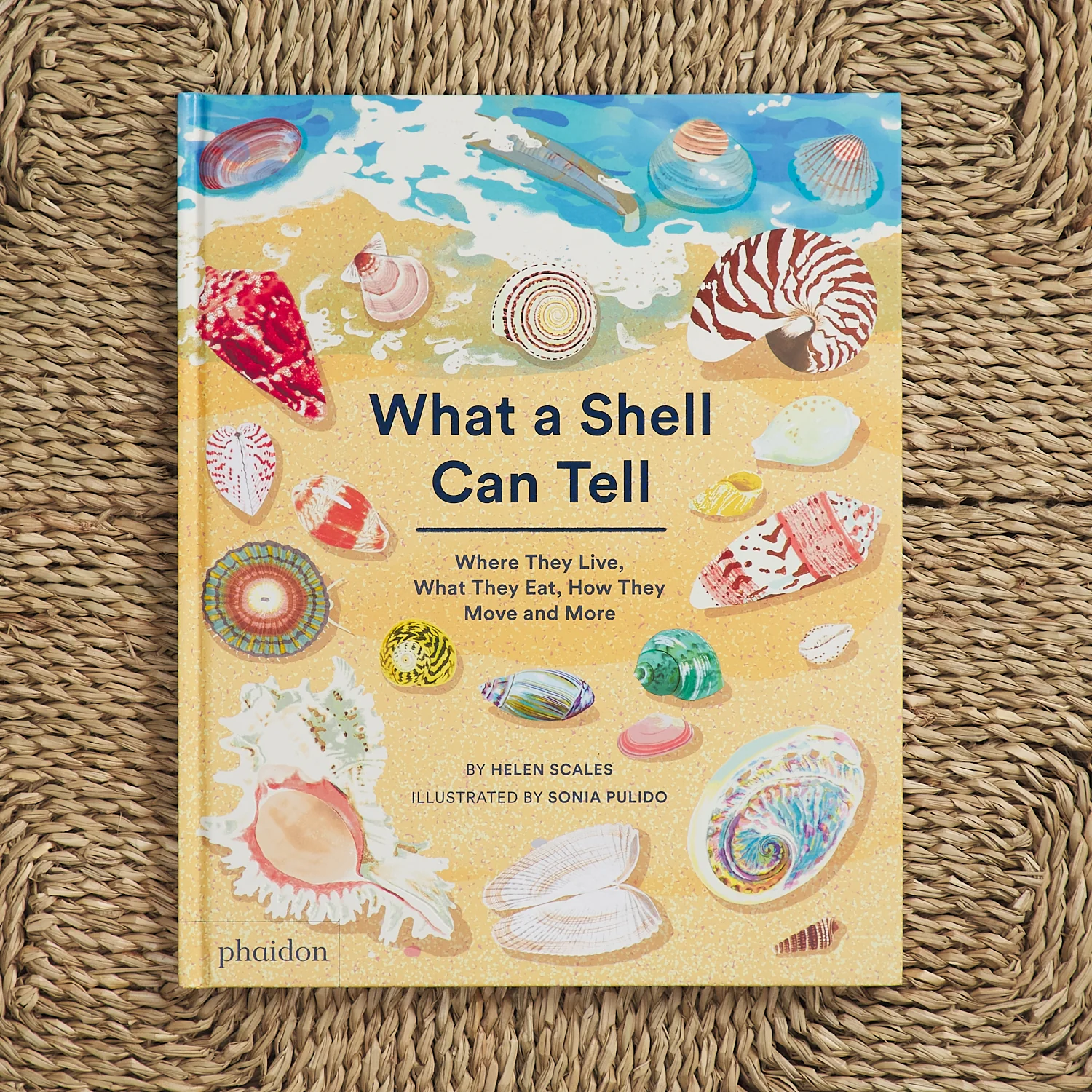 What a Shell Can Tell